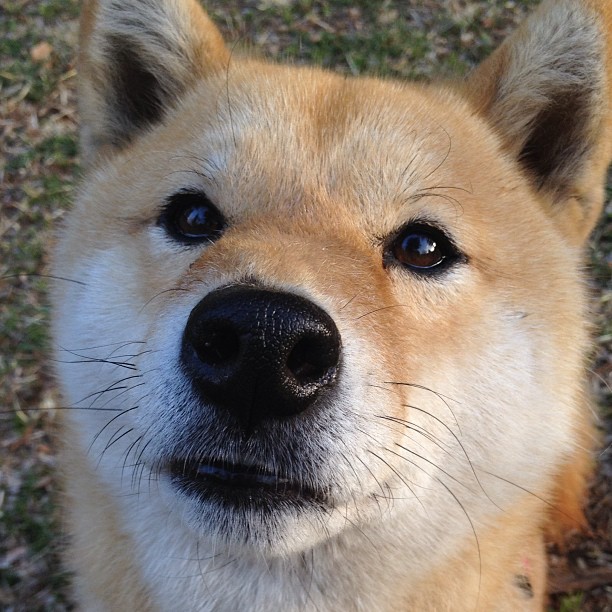 开云网址入口-浙江雄狮凭借团队合作和稳定发挥稳步前进，浙江雄狮服务队