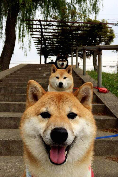 开云电竞登录-羽毛球训练引入节奏控制仪提高效率,羽毛球调动