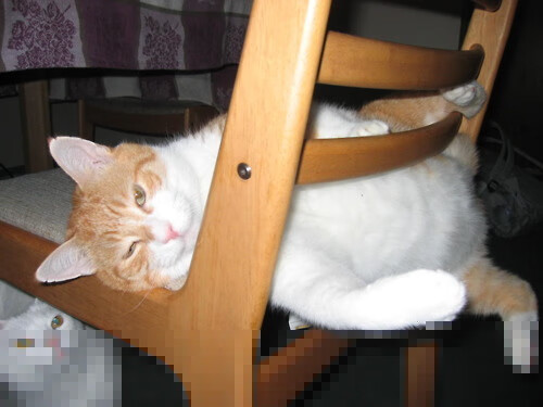 开云品牌-东契奇表示保持侵略性是进攻关键,东契奇进攻集锦