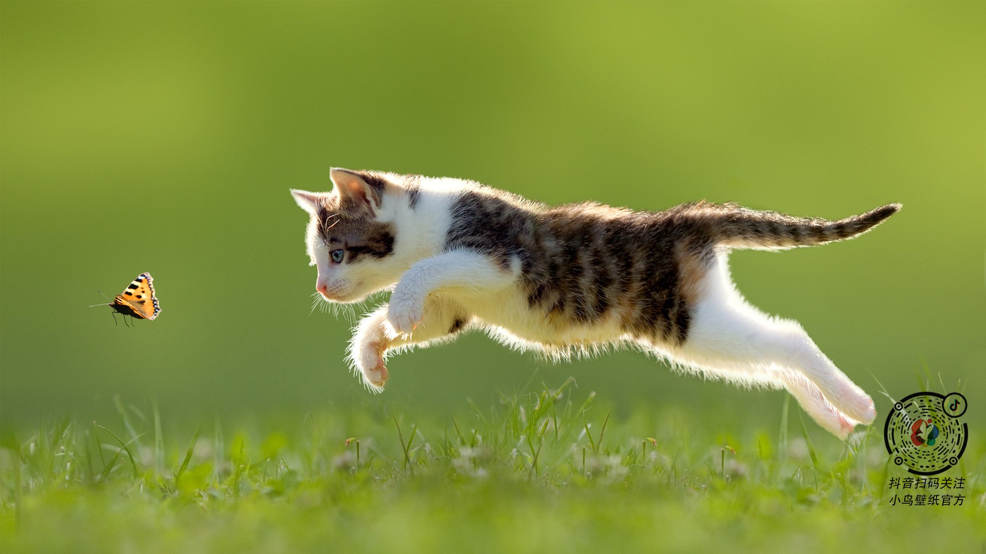 开云官方网站-王楚钦谈比赛节奏感找到关键点,王楚钦和谁比赛摔拍子